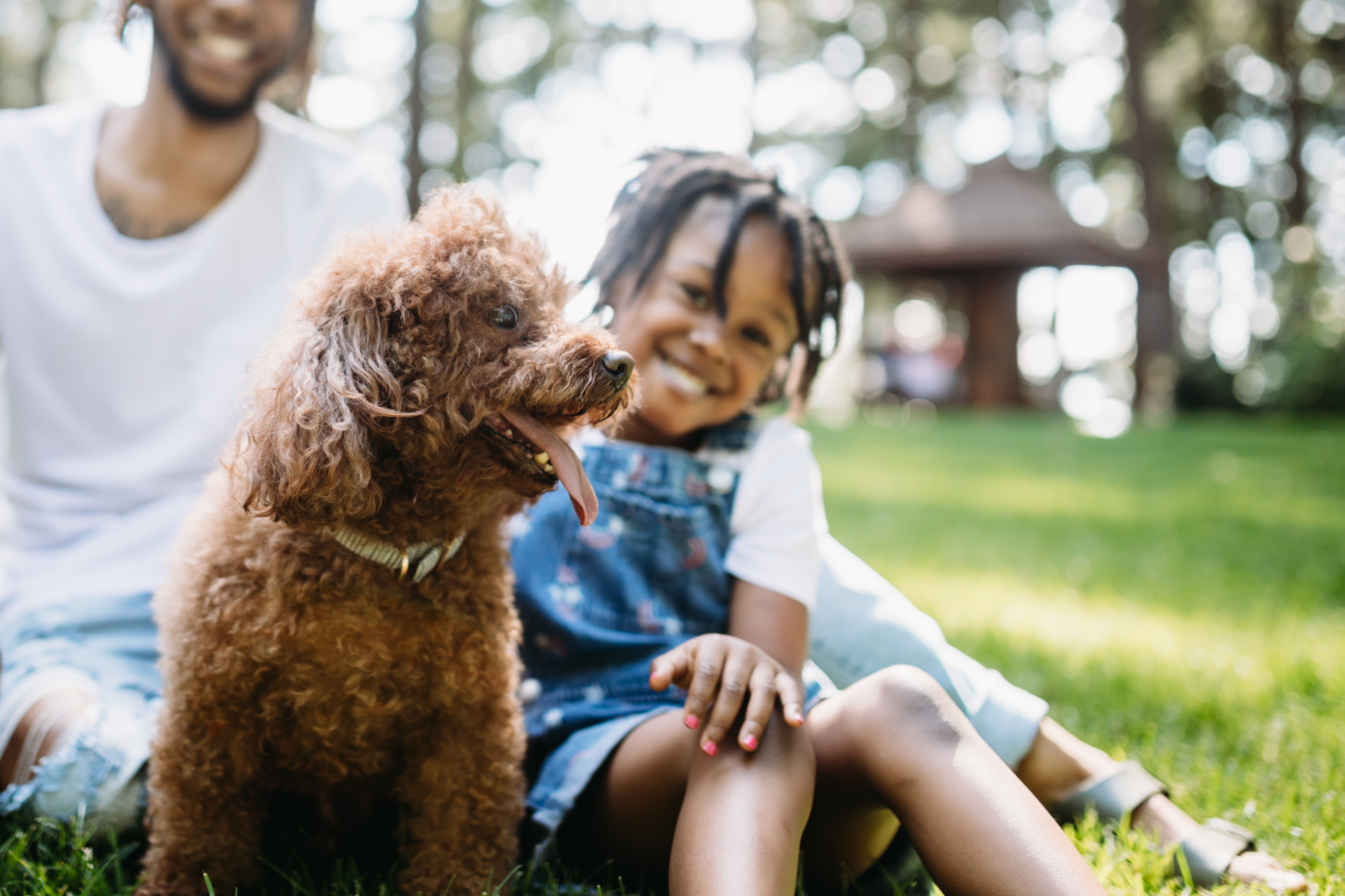 Dog with family